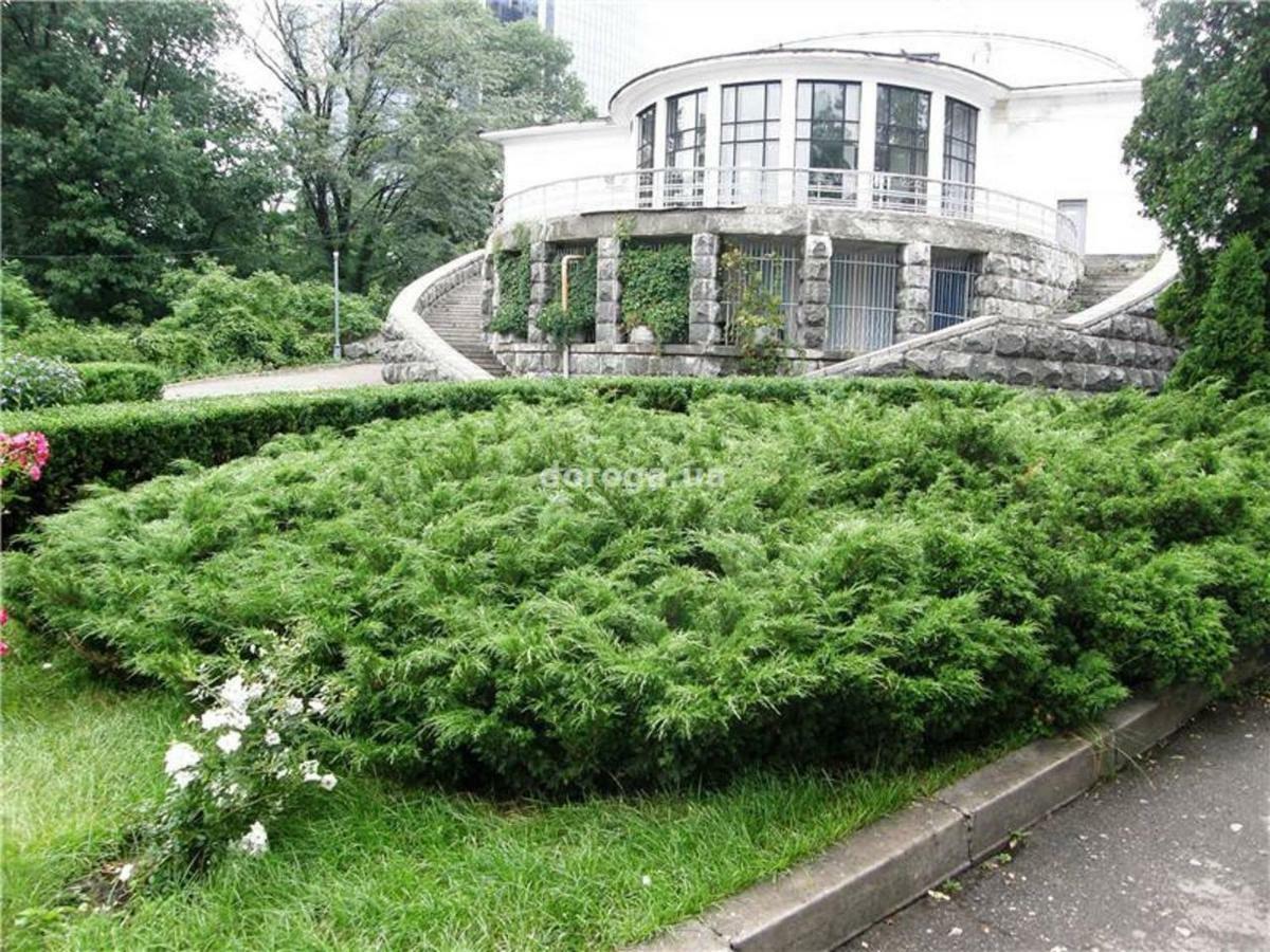 Kyiv Top Location 60M2 Apt In Old City Fast Wifi Selfchekin מראה חיצוני תמונה